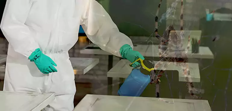 Why Buyers Still Want Homes With Pest Infestations in Garden Grove, CA?