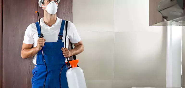 Why Garden Grove Homeowners Choose Us When Pests Make Selling Difficult